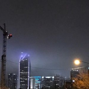 Meet your Posher, Ginger